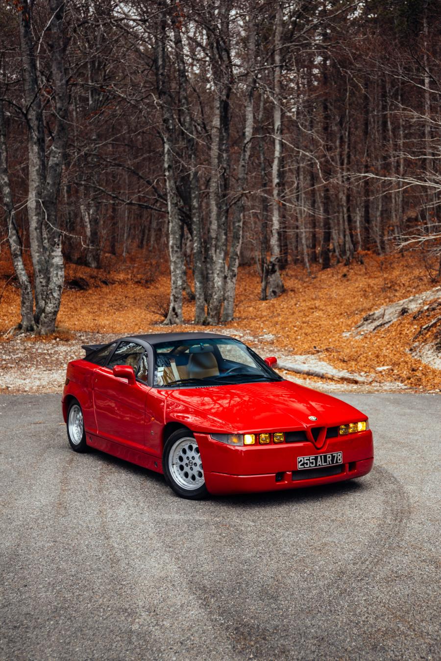  Alfa Romeo S.Z. 1989 года  (фото 35 из 86)